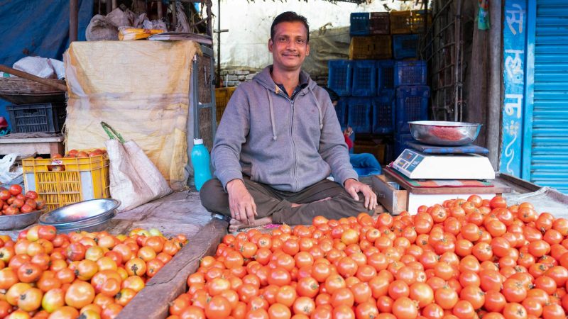 Today's Mandi Prices: Top Crops and Rates Across India