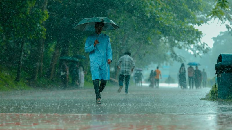 Heatwave Alert: Precautions and Relief Measures You Should Know