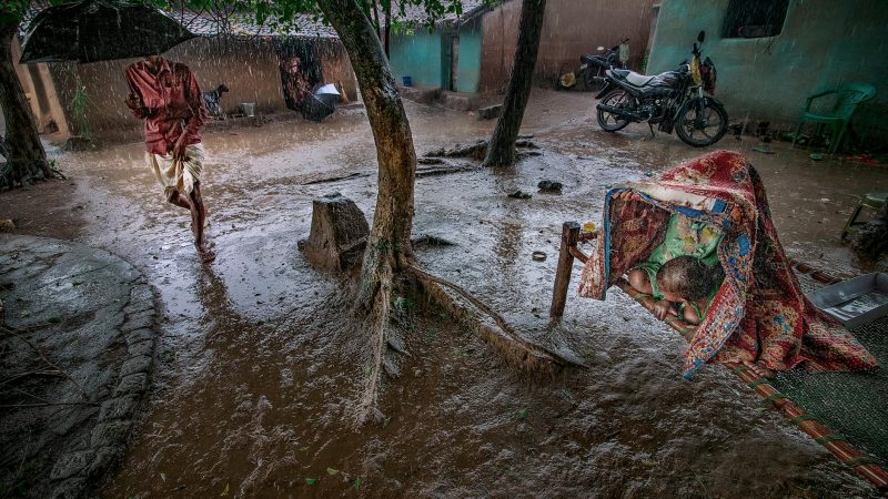 Monsoon Update: Rainfall Forecast for Key Agricultural States